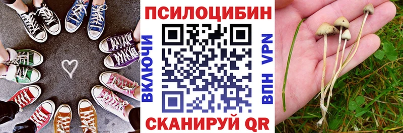 Галлюциногенные грибы GOLDEN TEACHER  где найти наркотики  Сретенск 