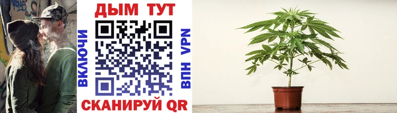 Марихуана SATIVA & INDICA  продажа наркотиков  Сретенск 
